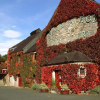 Blair Athol Whisky Distillery