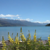Lake Wanaka Hawea reis