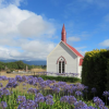 Wairarapa Martinborough Maori Church