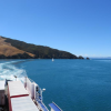 Tory, Channel, Interislander, Picton, Wellington