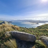 Natures Wonder Otago Wildlife Tour