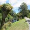 Punting on Avon River in Hagley Park Christchurch