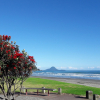 Strand Bay of Plenty