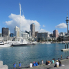 Auckland, Viaduct, Basin, Skytower