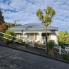 Steilste straat van wereld Baldwin Street Dunedin
