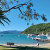 Picton waterfront