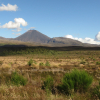 Ngarahoe in Tongariro Park