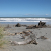 Drijfhout op strand