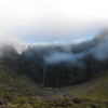 Fiordland