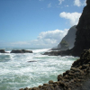 Piha Beach 