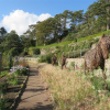 Inverewe Gardens - Gairloch