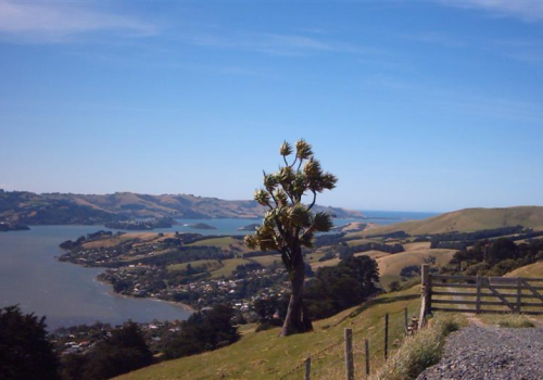 Otago Peninsula Dunedin